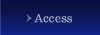 Access